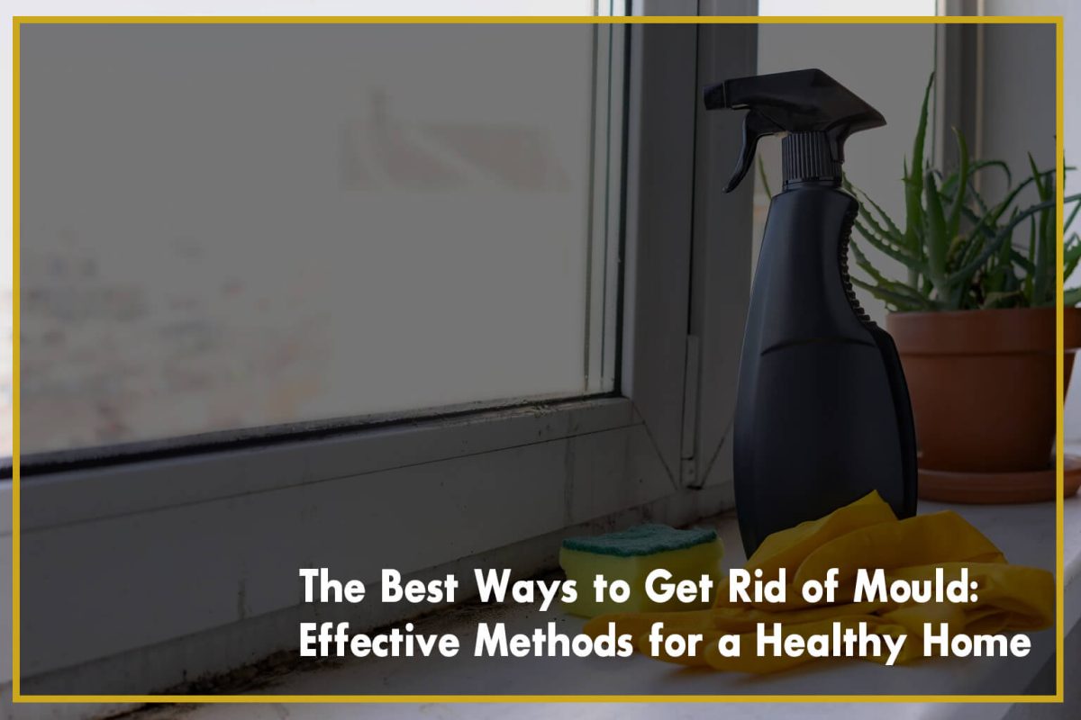 The Best Ways to Get Rid of Mould: Effective Methods for a Healthy Home